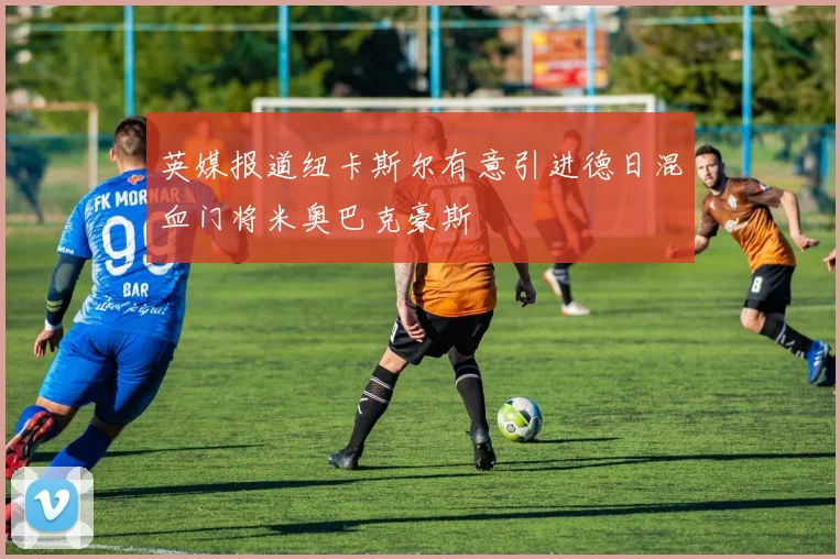 英媒报道纽卡斯尔有意引进德日混血门将米奥巴克豪斯