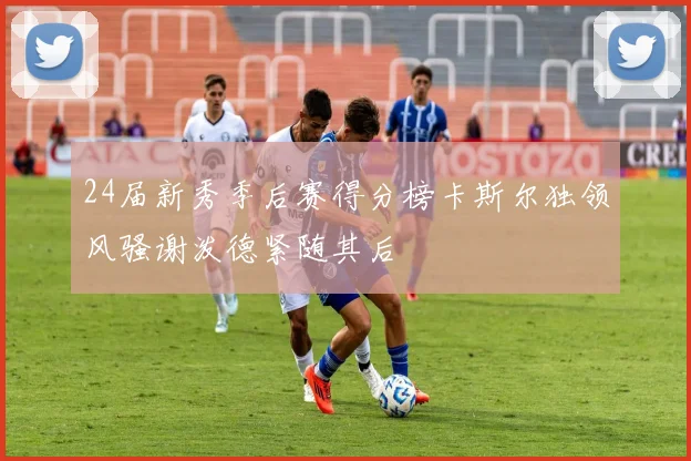 24届新秀季后赛得分榜卡斯尔独领风骚谢泼德紧随其后
